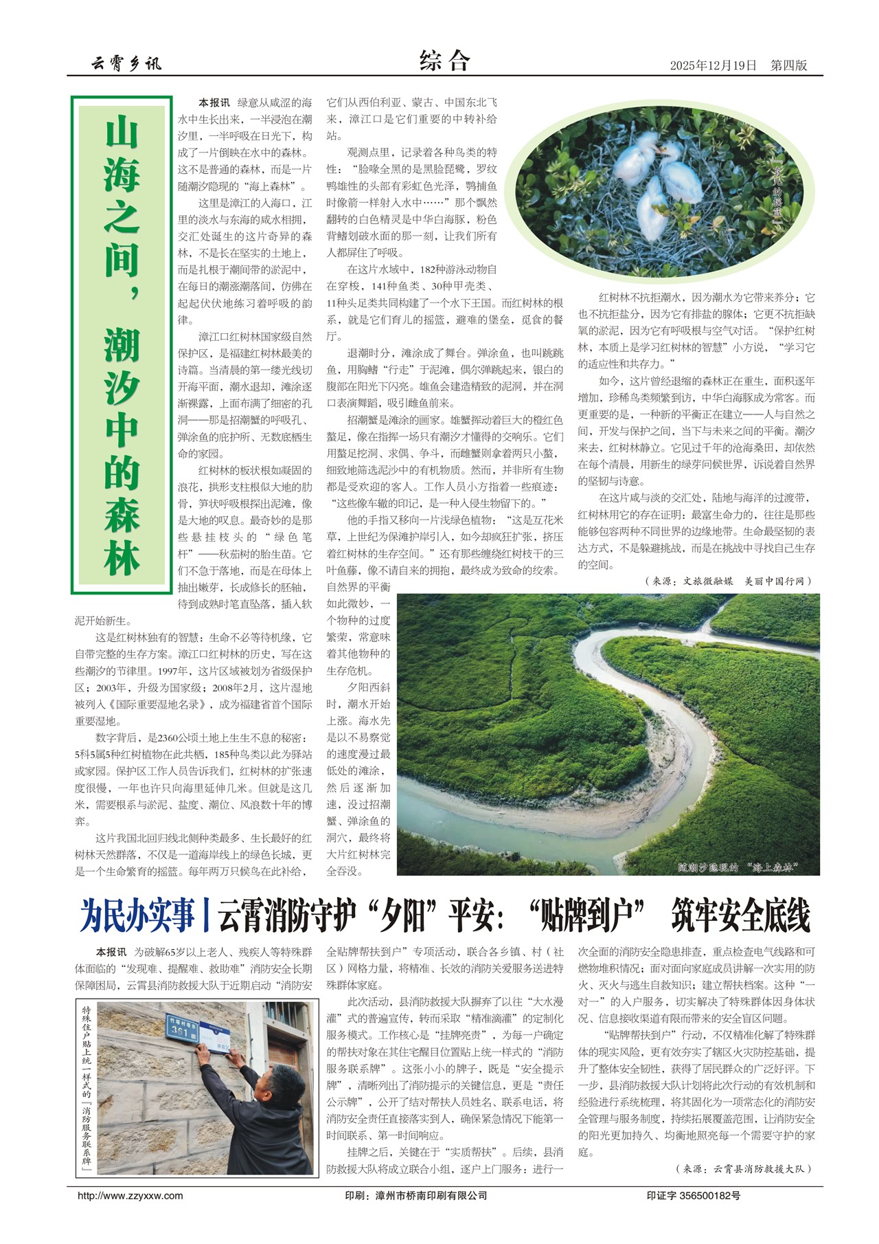 ������Ѷ�ۺ�